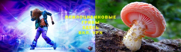 ГАЛЛЮЦИНОГЕННЫЕ ГРИБЫ Богородск