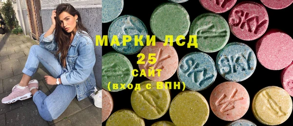 гашиш Богданович