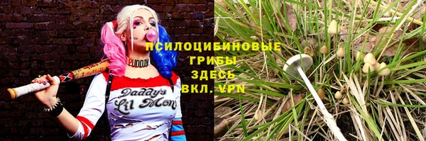 ПСИЛОЦИБИНОВЫЕ ГРИБЫ Наволоки