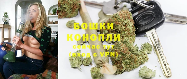 гашиш Богданович