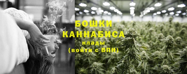 ГАЛЛЮЦИНОГЕННЫЕ ГРИБЫ Богородск